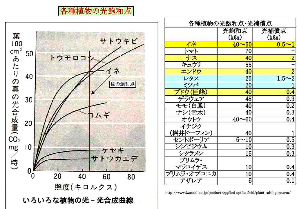 出典:CHO技術研究所
